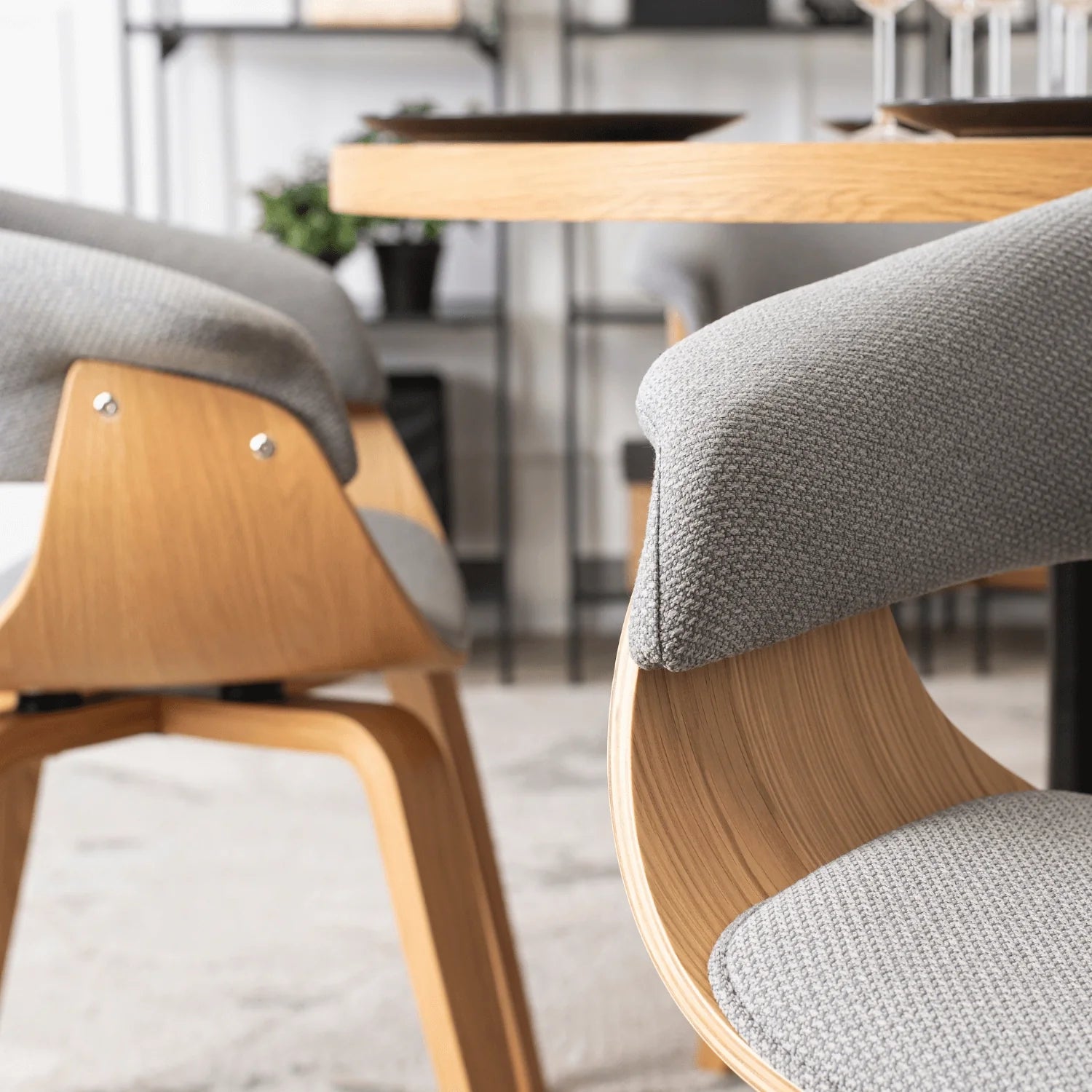 Elite GARY 2 Grey/Golden Oak Chair – A Perfect Blend of Style & Comfort