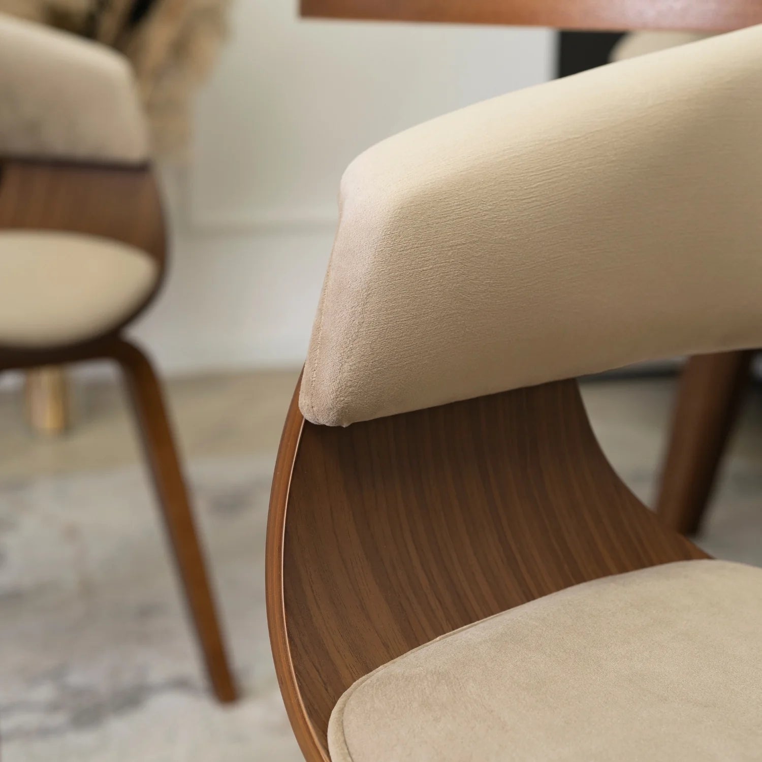 Elite GARY Beige/Walnut Chair – A Timeless Fusion of Comfort & Elegance