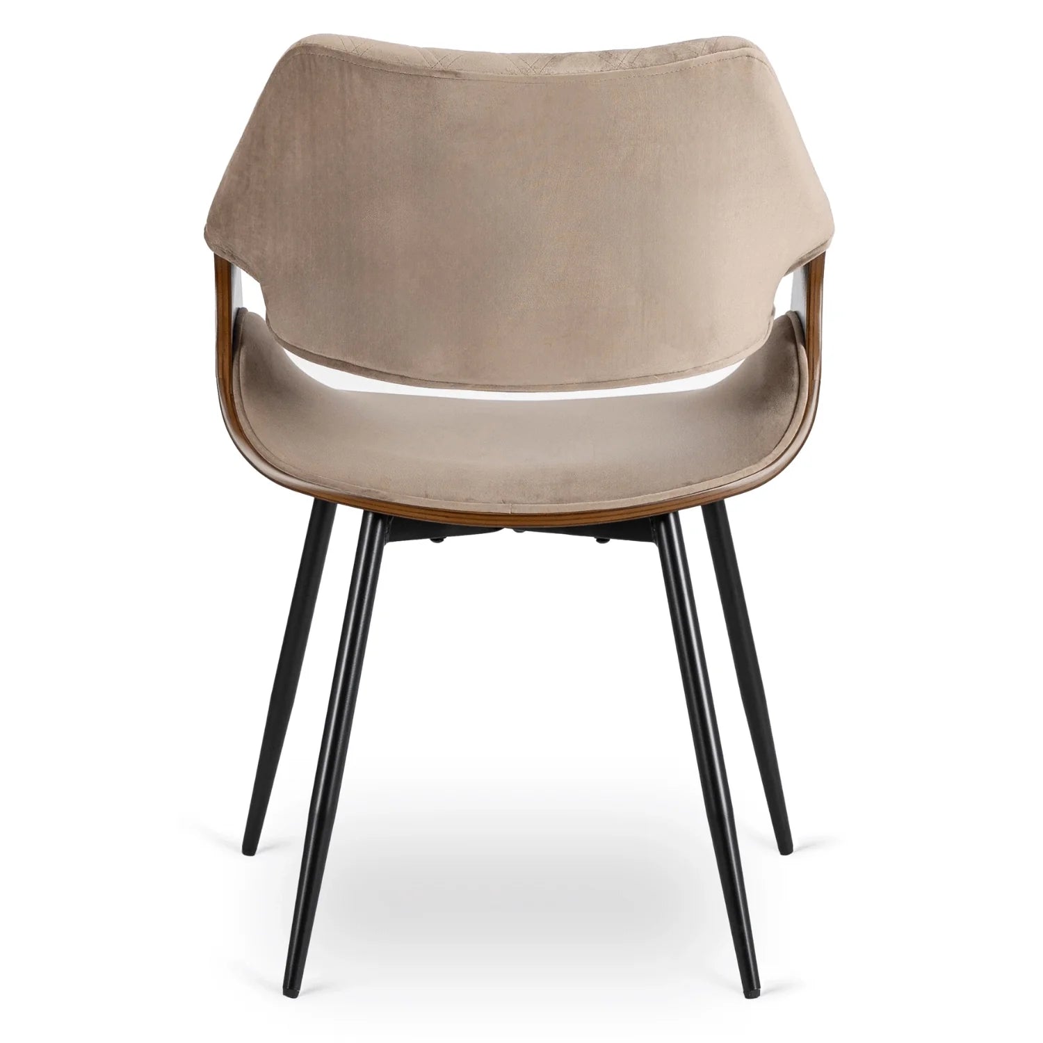 Elite DAKOTA Beige/Walnut Velour Chair – A Fusion of Elegance and Comfort