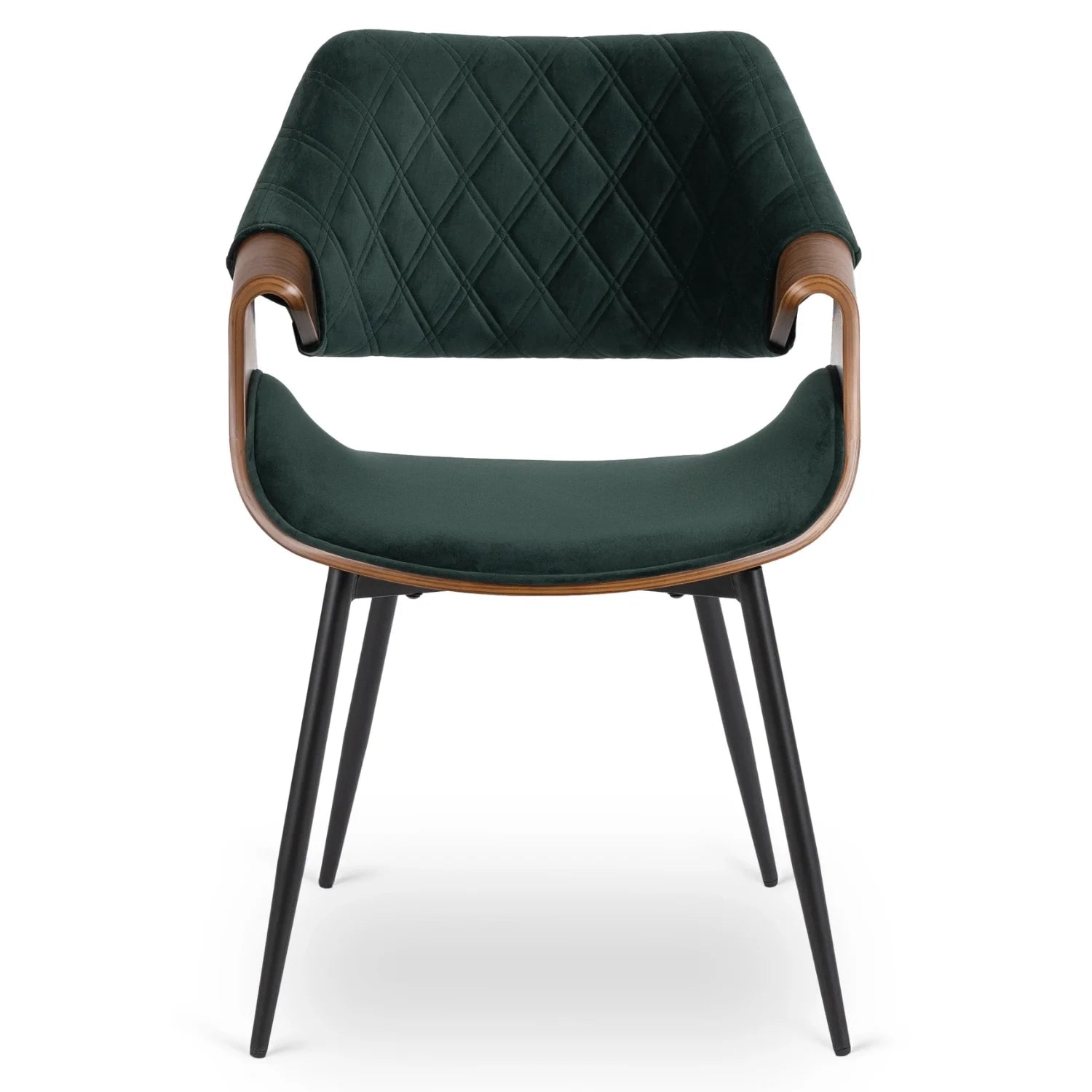 Elite DAKOTA Green/Walnut Velour Chair – A Sophisticated Statement Piece