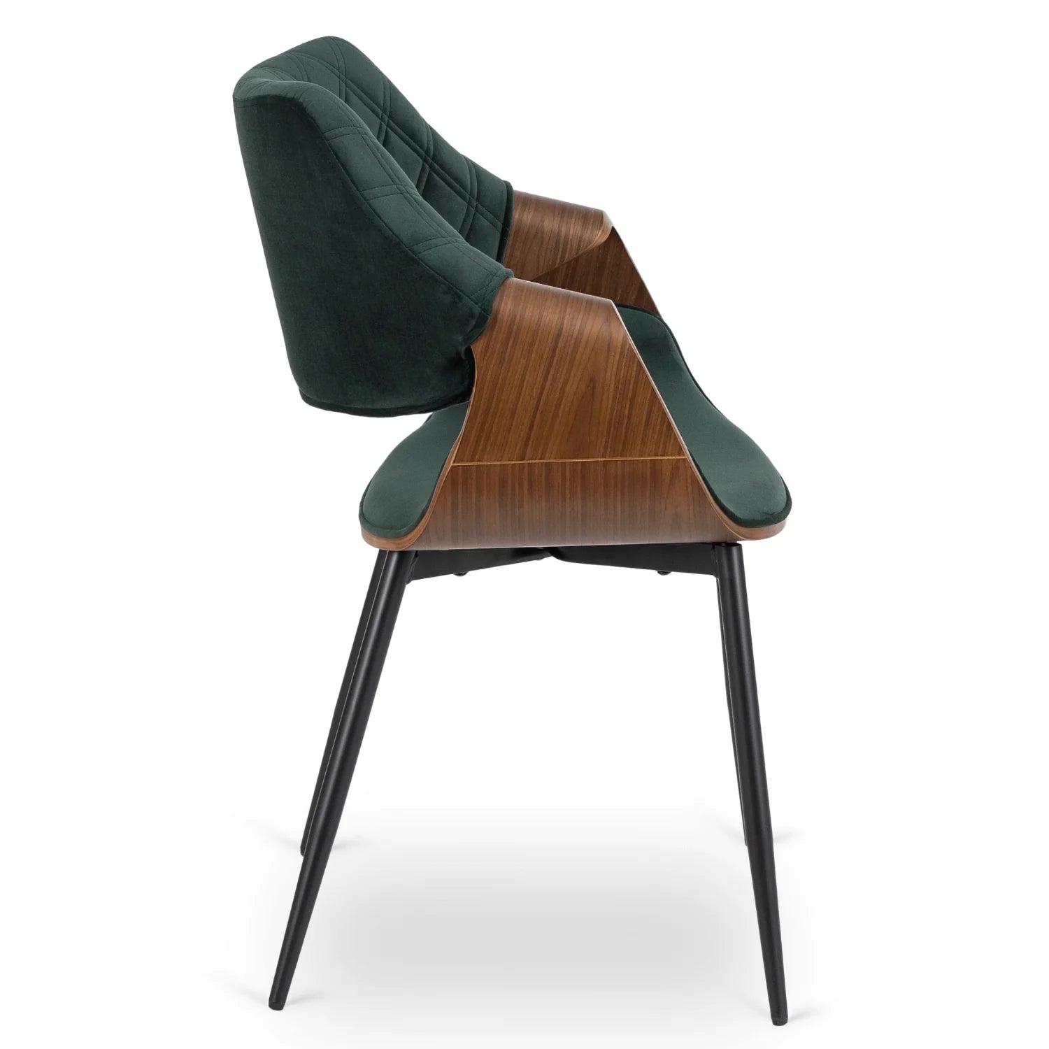 Elite DAKOTA Green/Walnut Velour Chair – A Sophisticated Statement Piece