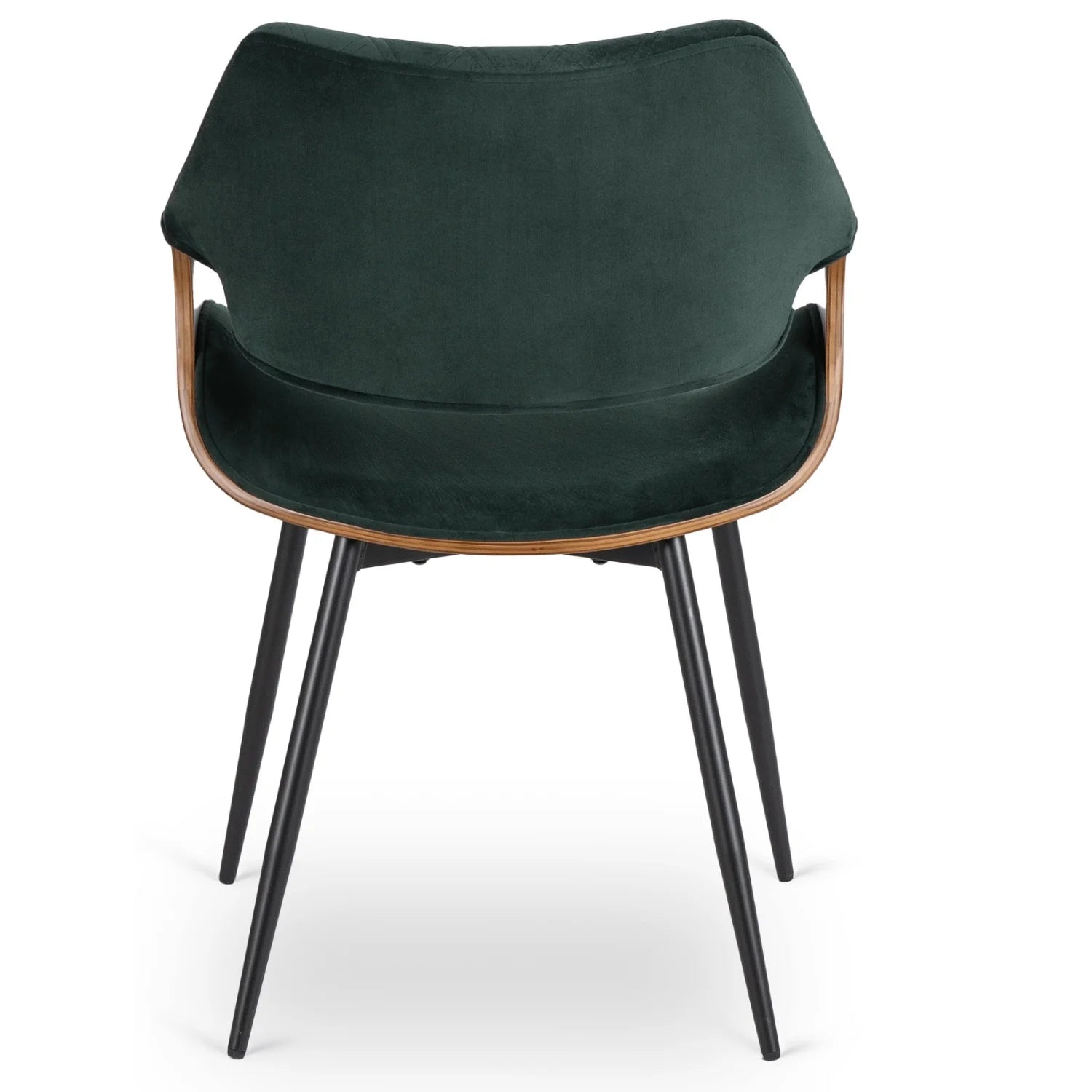 Elite DAKOTA Green/Walnut Velour Chair – A Sophisticated Statement Piece