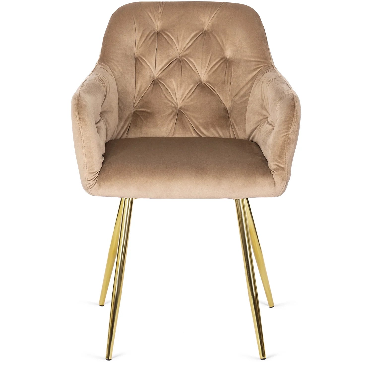 Elite RAYA Beige Samtstuhl – Ein Hauch von Luxus