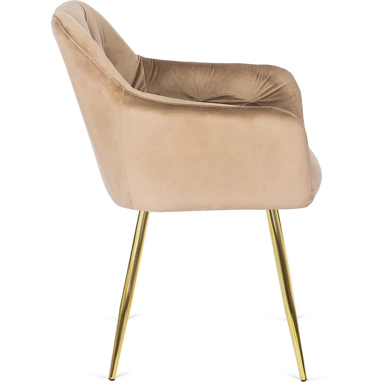 Elite RAYA Beige Samtstuhl – Ein Hauch von Luxus